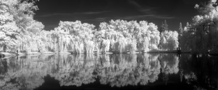 250-ir_pano1.jpg.medium.jpeg